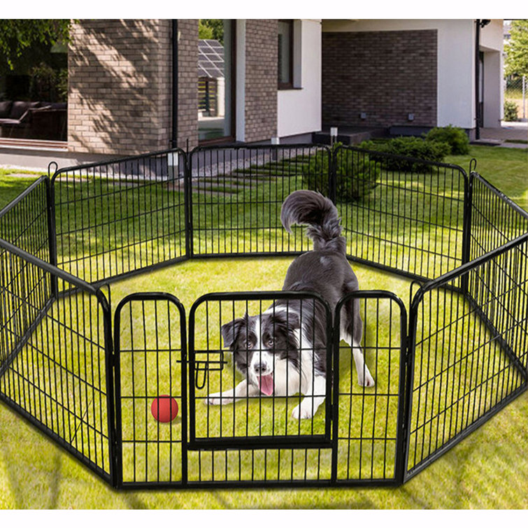 Iron dog outlet fence